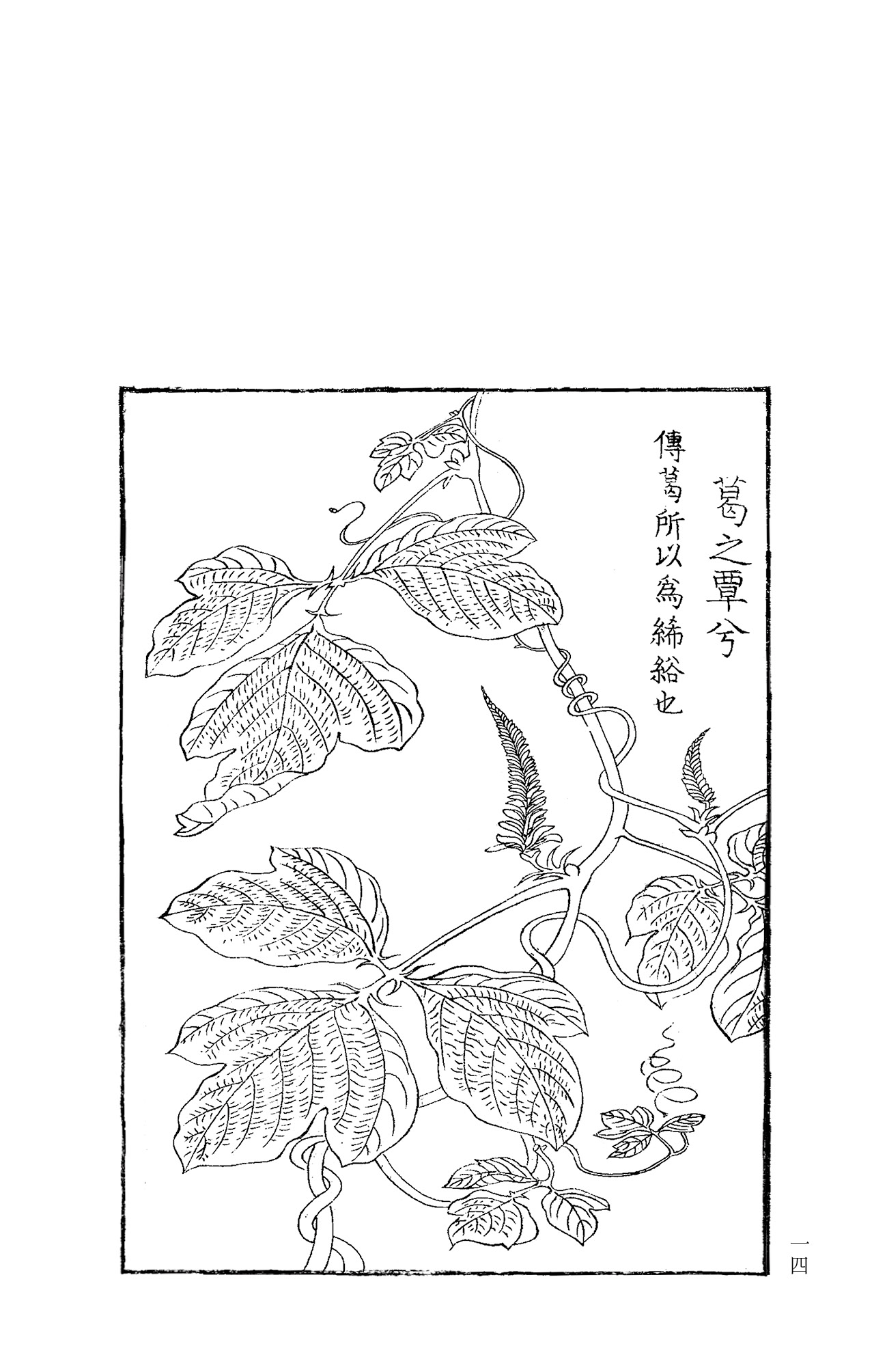 1655300648692691.jpg 详情-04.jpg