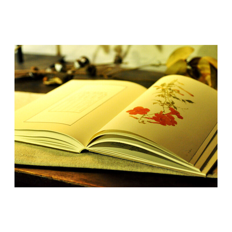 詩經草木繪+楚辭飛鳥繪(全兩冊)