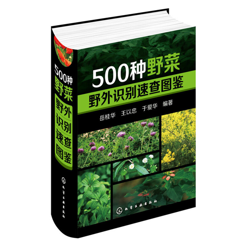 500種野菜野外識別速查圖鑑+500種野菜養生圖鑑（全2冊 ）