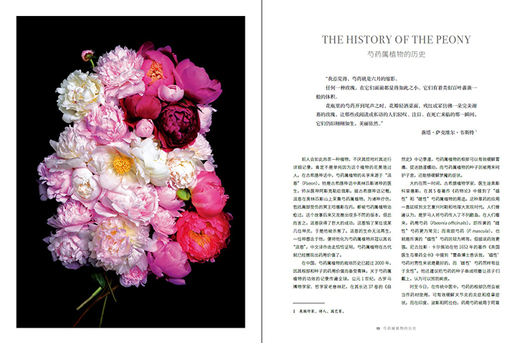 牡丹书摘1.jpg