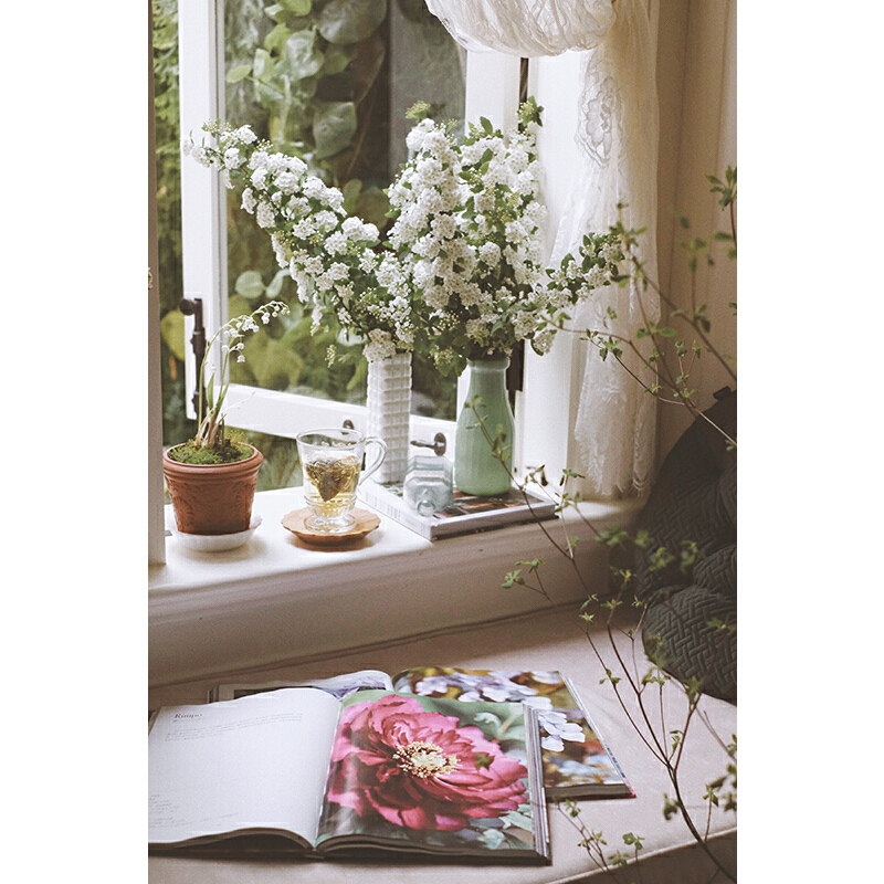 國際著名園藝師經典之作：牡丹全書+繡球全書（精裝大開本）