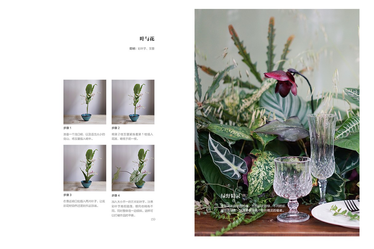 1666172660848162.jpg 1666172660848162.jpg