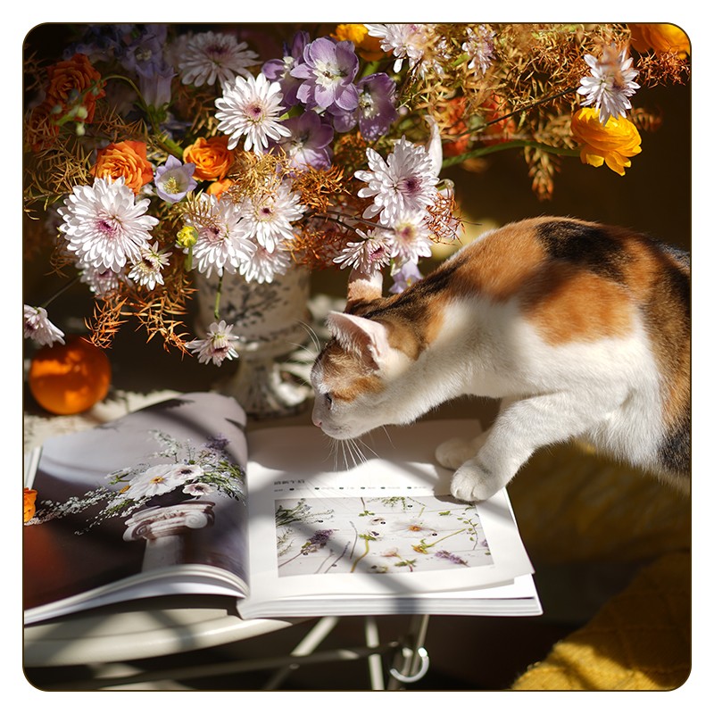 心境花藝:【有溫度的創意插花】+花間野趣:【自然風格花藝設計】(全新塑封兩冊)