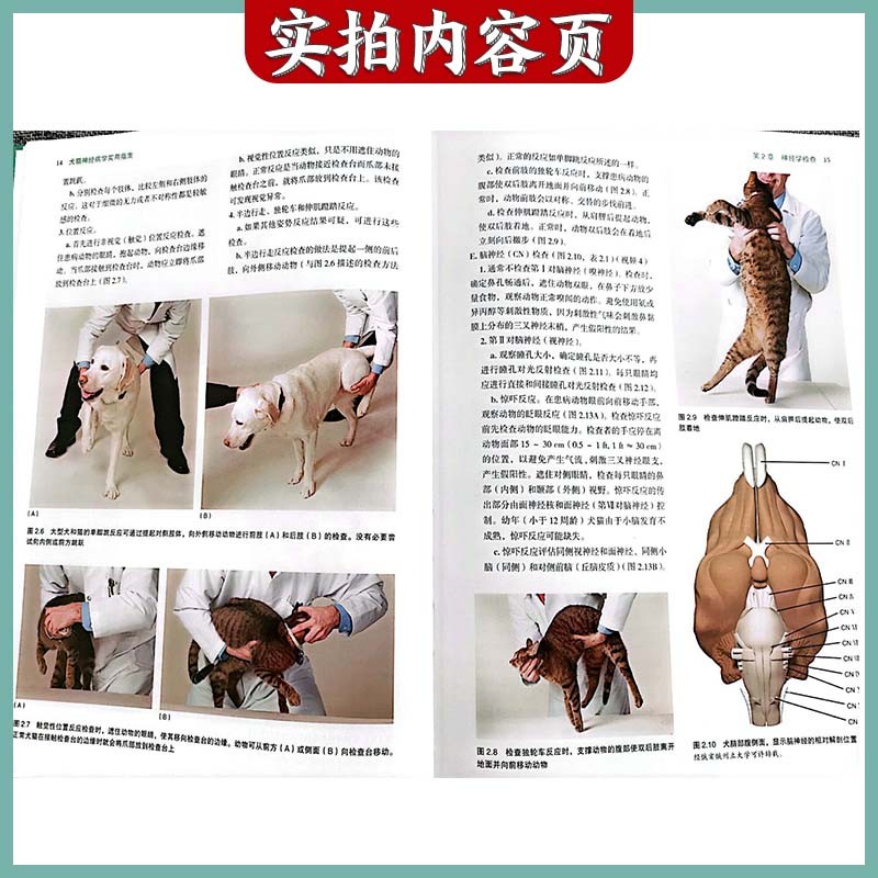 【犬猫神經病學實用指南】（第3版）