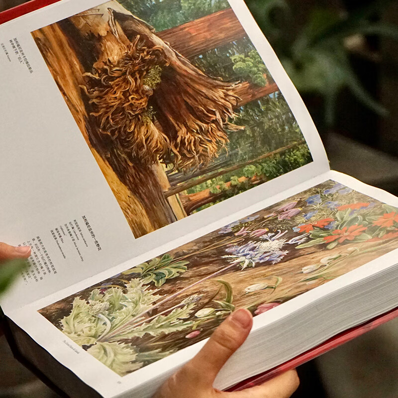 限時優惠：英國皇家植物園邱園官方授權【花朵與探險：瑪麗安娜·諾斯的藝術世界 】重達2.36公斤