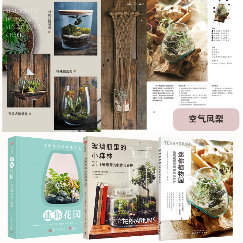 玻璃瓶裏的小森林:【微景觀的製作與養護】+迷你植物園:【玻璃瓶微景觀製作與養護】+迷你花園:【打造你的玻璃生態瓶】