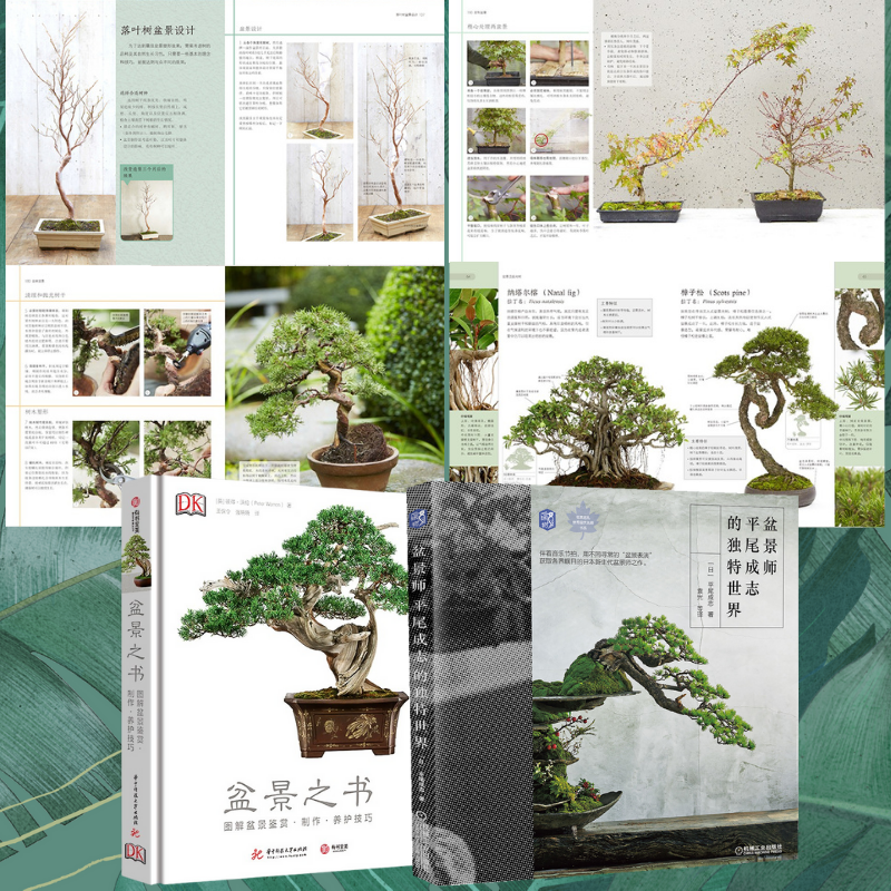 【盆景之書】+【盆景師平尾成志的獨特世界】