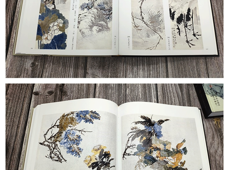 1684828314904236.png 详情-06.png