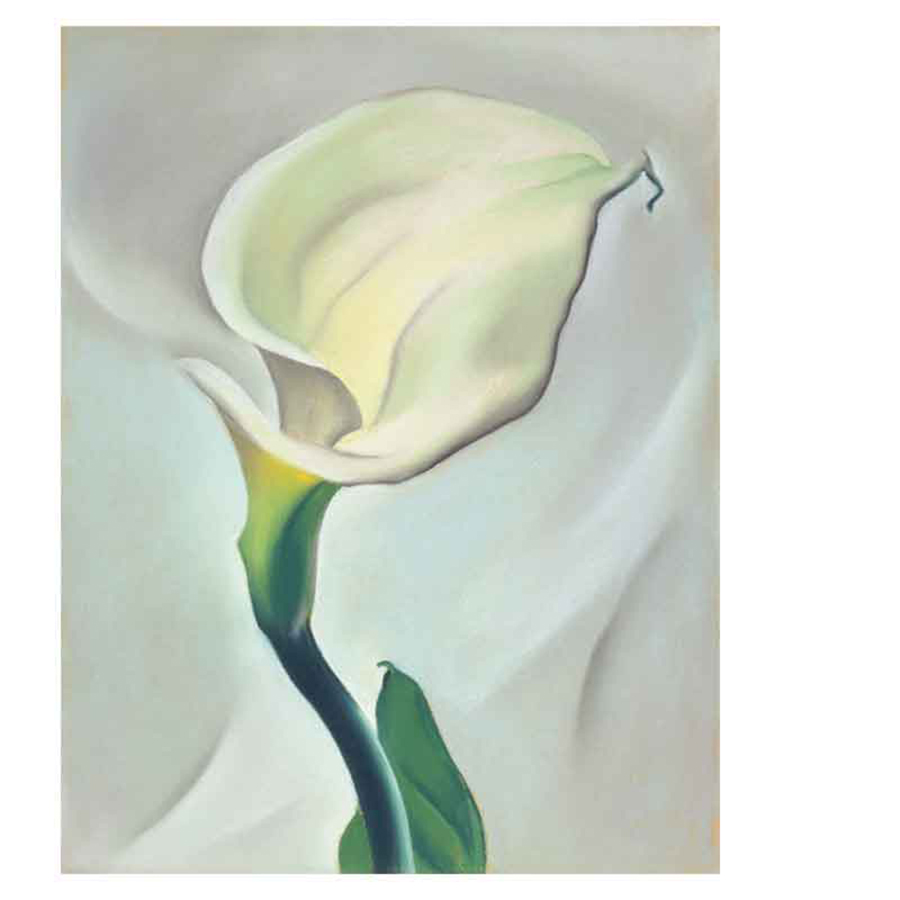 1684843838364511.jpg 书摘4.jpg