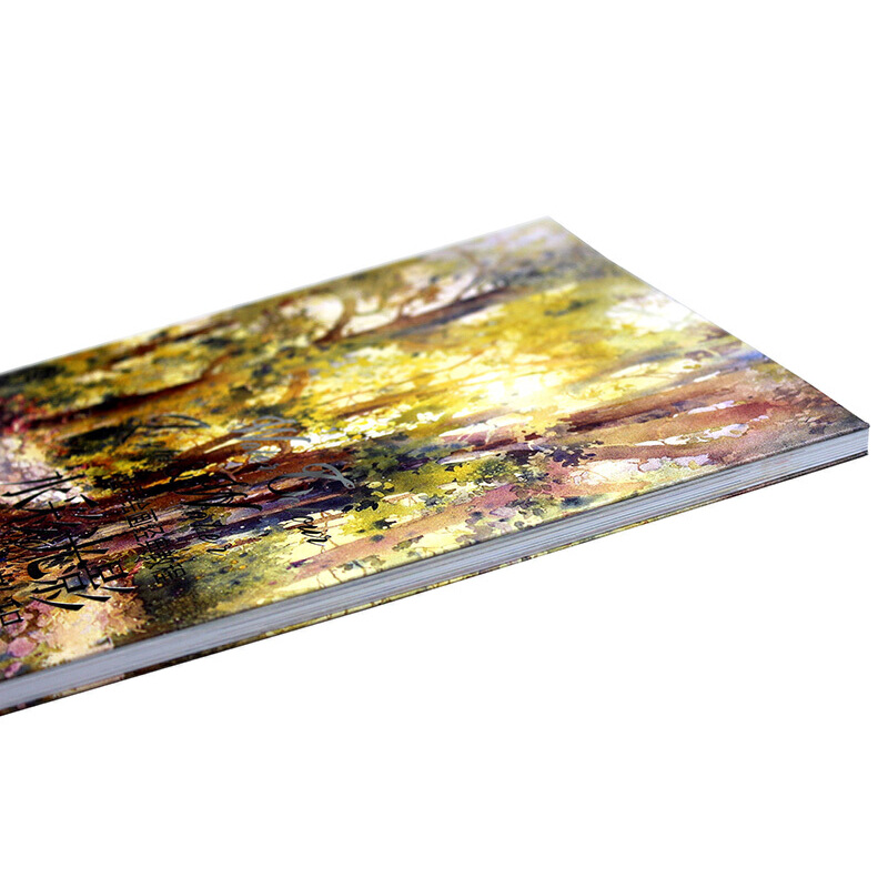 世界繪畫經典教程：讓畫作極具視覺衝擊力的秘技+水彩光影魔法教程（全兩冊）