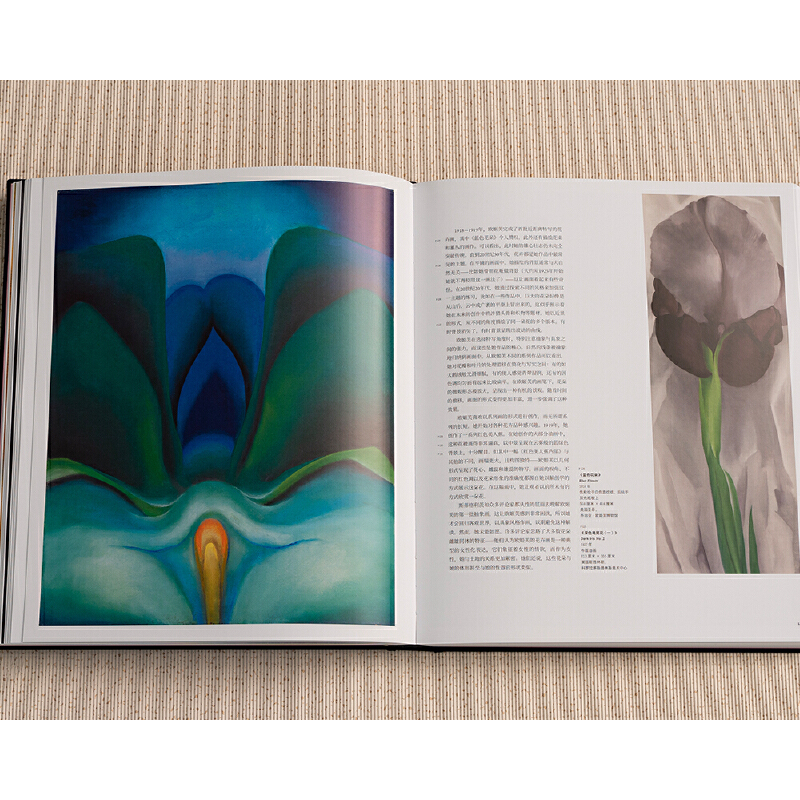 歐姬芙:值得收藏的歐姬芙大畫冊(重達4.1公斤) 歐姬芙:值得收藏的歐姬芙大畫冊(重達4.1公斤)