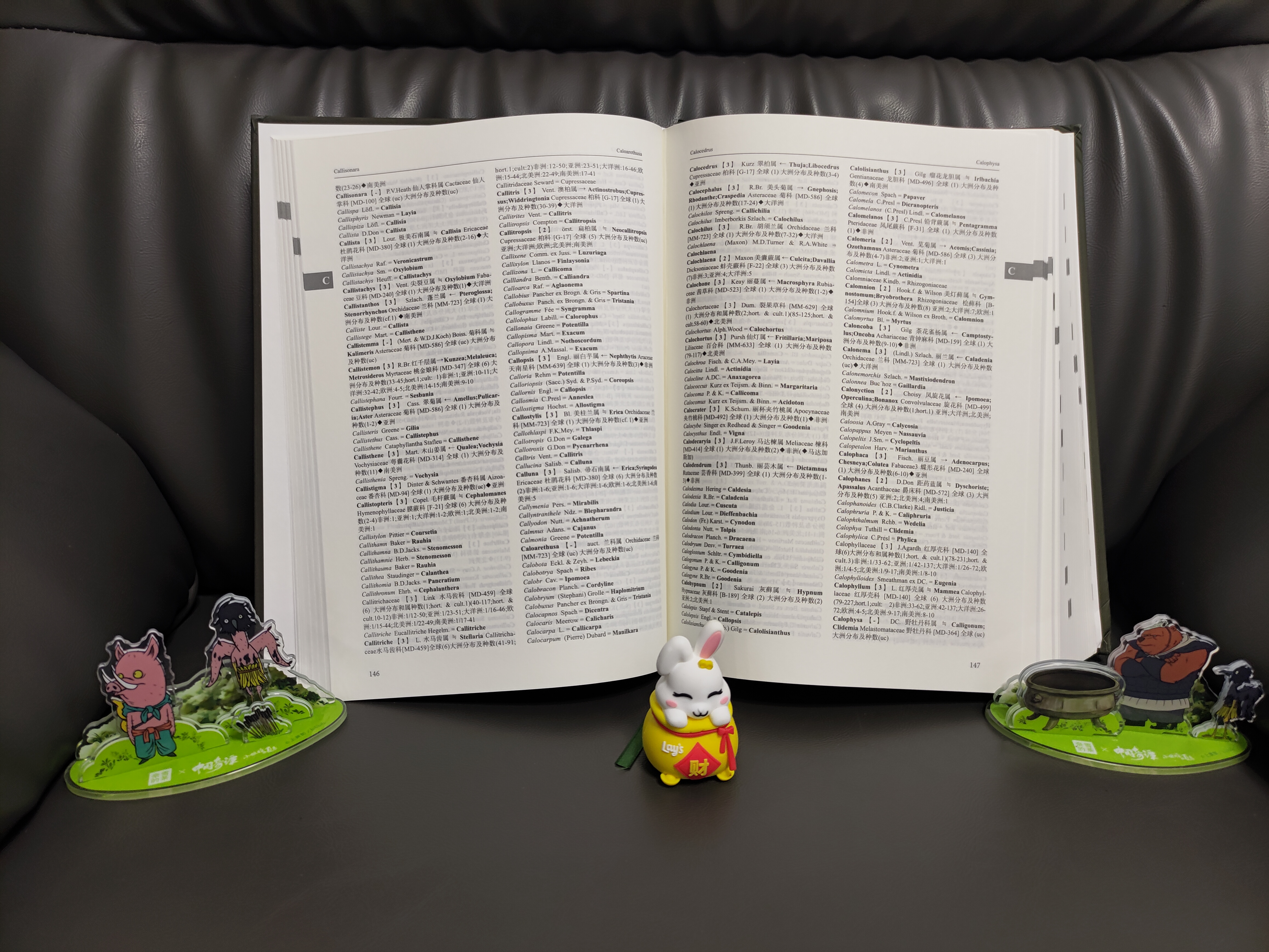 1689757562245983.jpg 实拍2.jpg