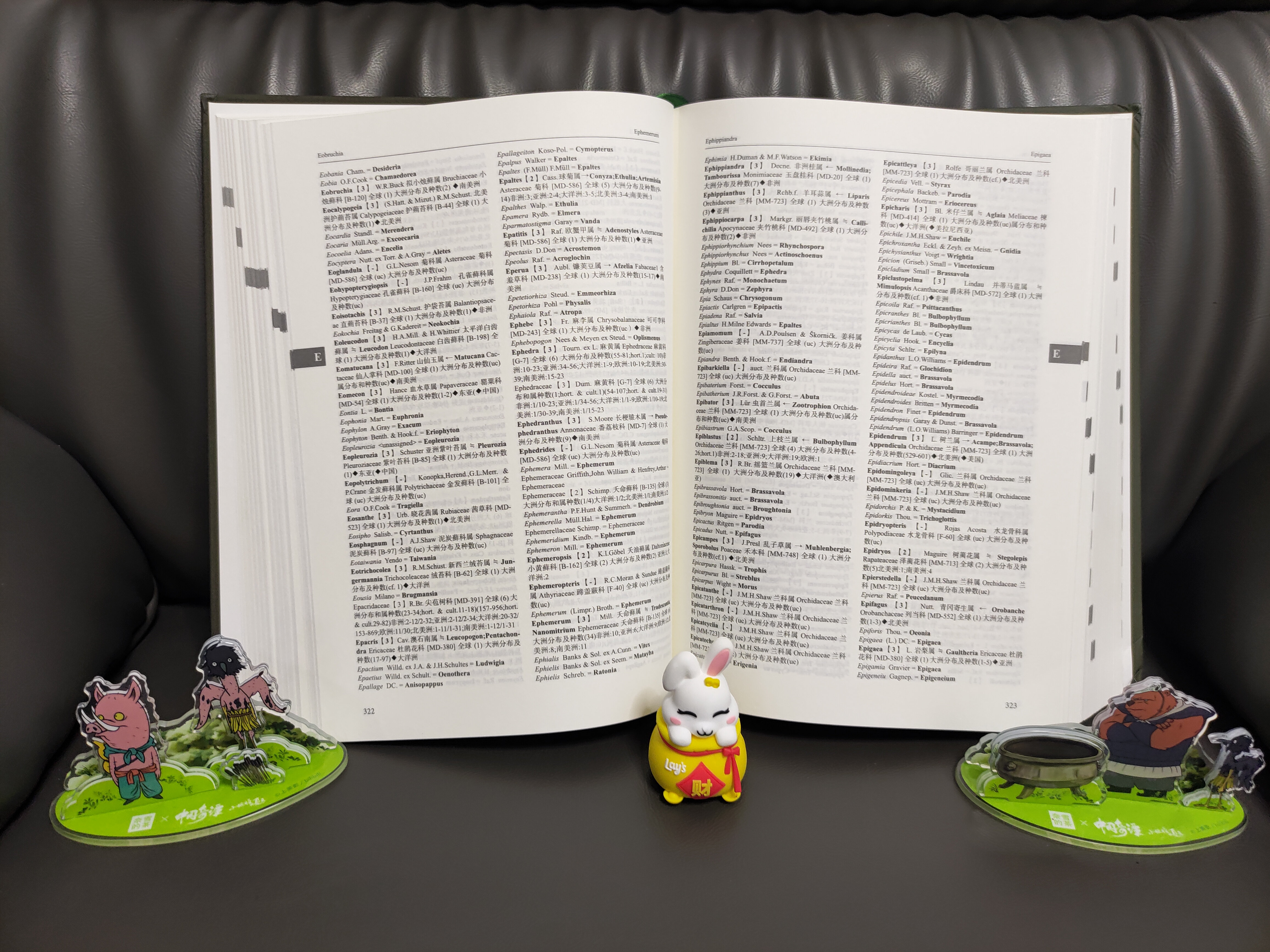 1689757571913951.jpg 实拍4.jpg