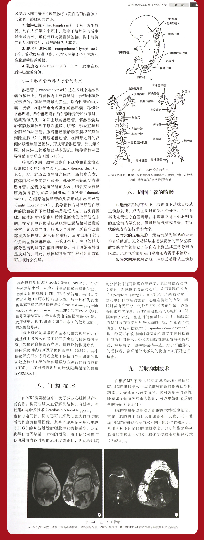 1689925429827003.jpg 详情-13.jpg