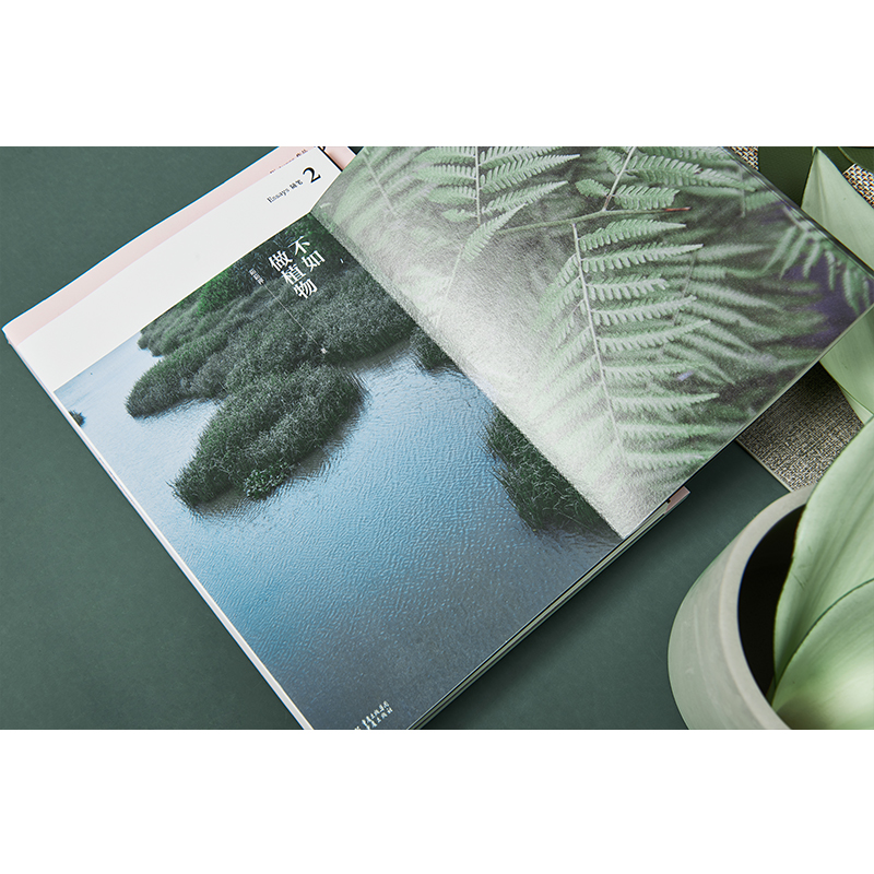 《不如做植物》1+2+3