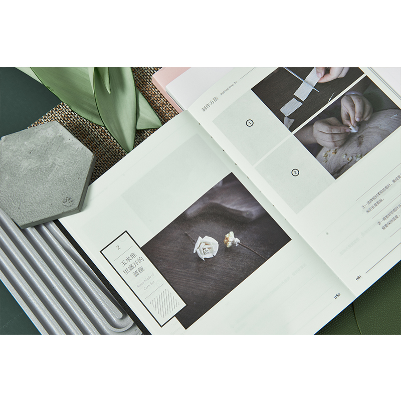 《不如做植物》1+2+3