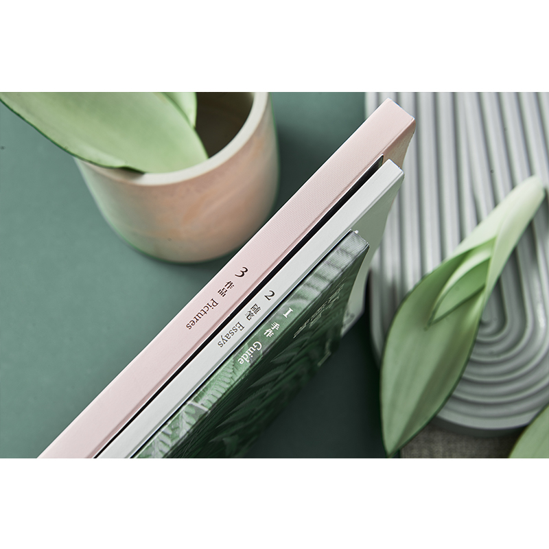 《不如做植物》1+2+3