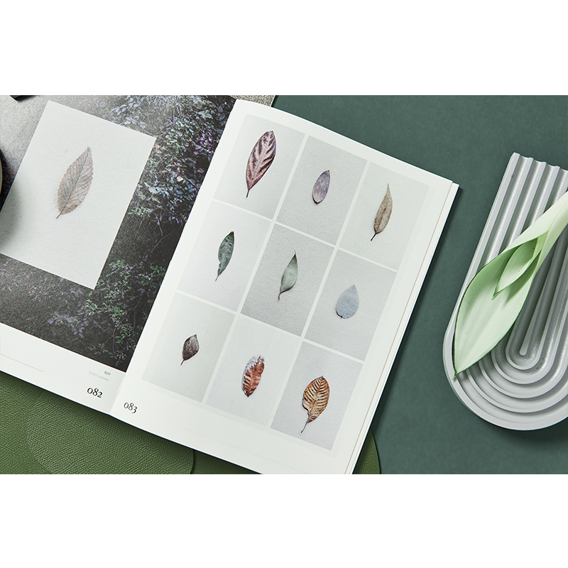 《不如做植物》1+2+3