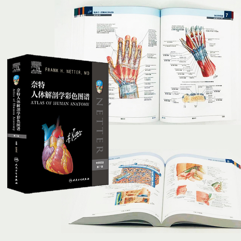 【正版】奈特人體解剖學彩色圖譜（第7版）