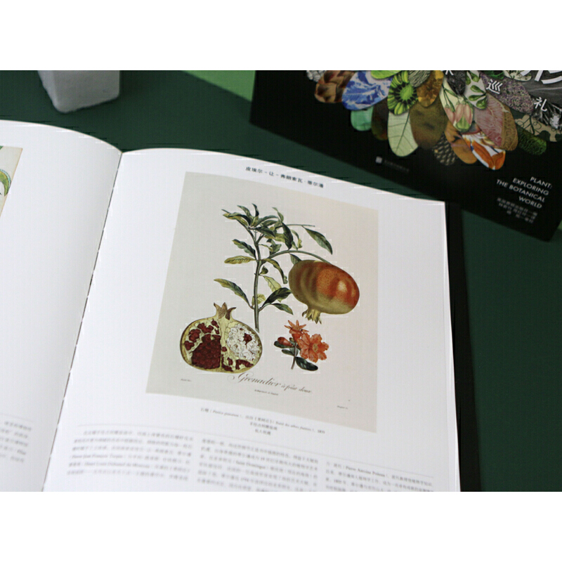 草木之形:植物藝術巡禮 草木之形:植物藝術巡禮