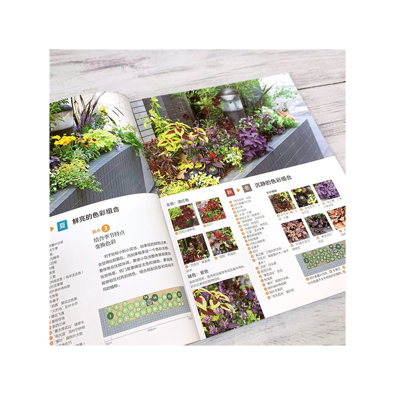 造一座小花園+陽台花園+小空間花園+我的迷你花園（全四冊）