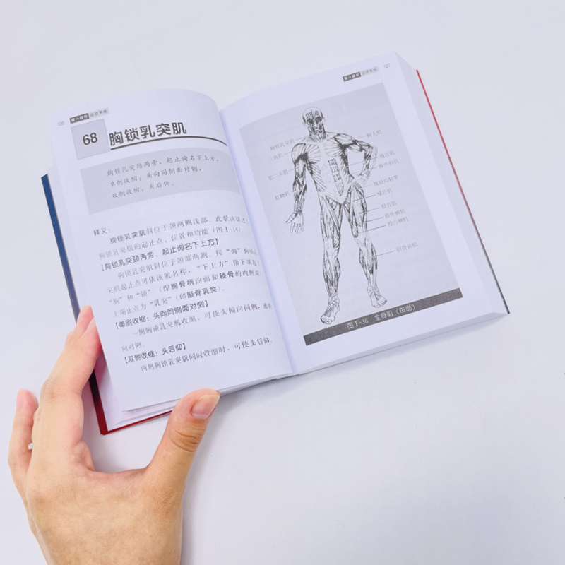 【正版】奈特人體解剖學彩色圖譜（第7版）