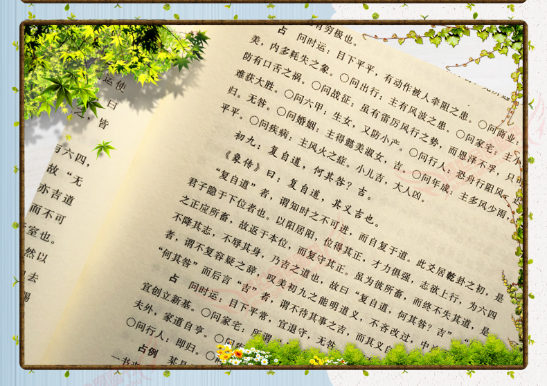 1691326444876145.jpg 详情8.jpg