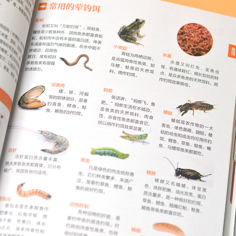 圖解陽台種菜一學就會+全新垂釣知識圖鑑(全兩冊) 圖解陽台種菜一學就會+全新垂釣知識圖鑑(全兩冊)