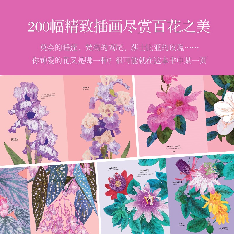 《花的姿態-畫筆下的繁花盛宴》典藏版 (澳)妮娜·魯索 著