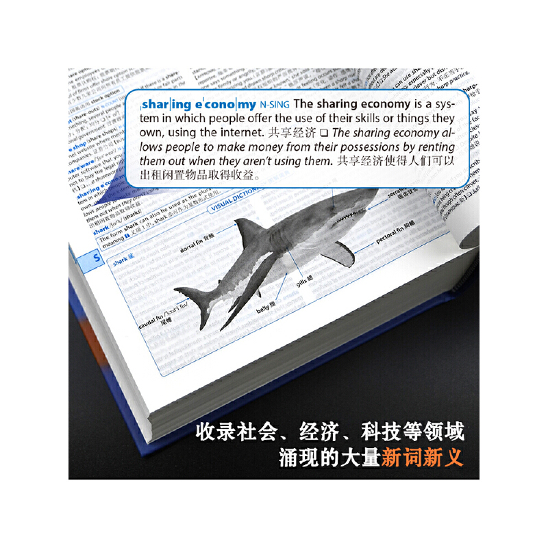 柯林斯COBUILD高階英漢雙解學習辭典(第9版)