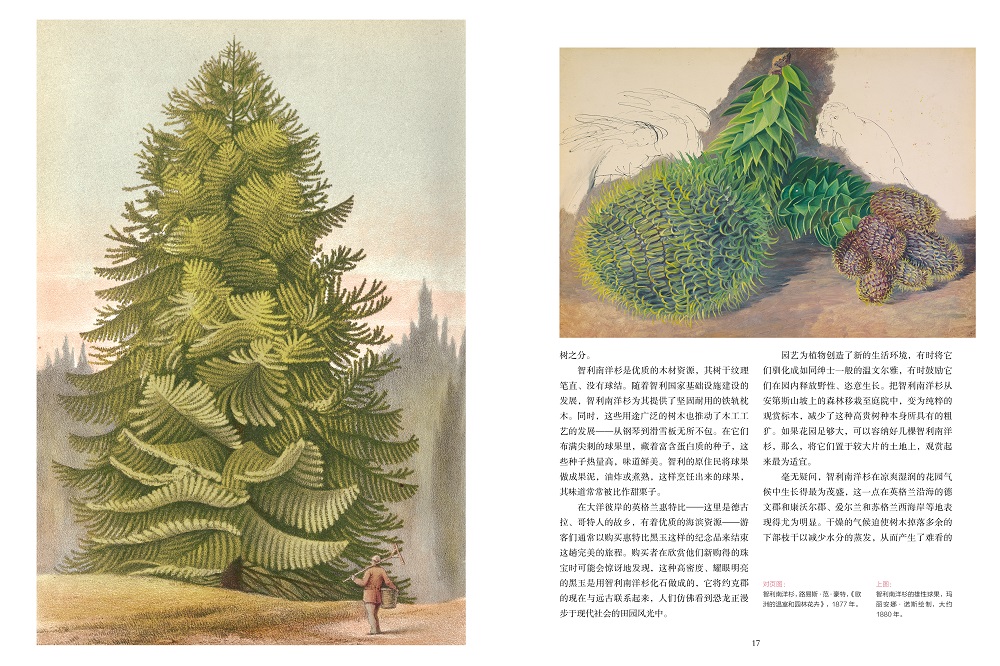 1702640500569762.jpg 书摘2.jpg