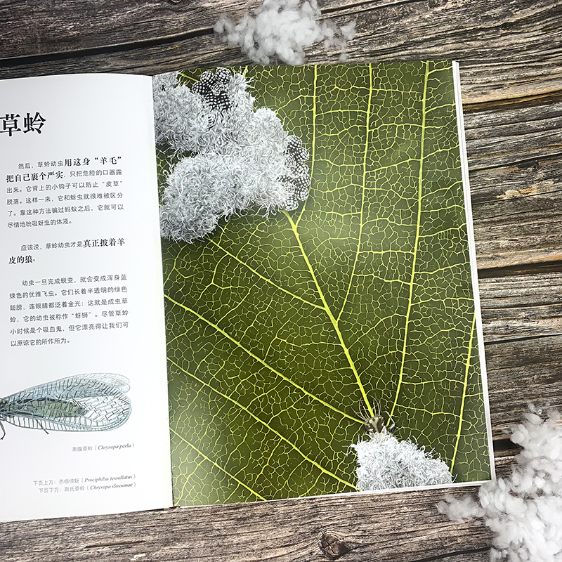 昆蟲歷史博物館+不可思議的昆蟲大書（全兩冊）