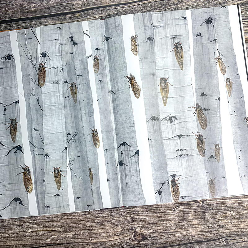 昆蟲歷史博物館+不可思議的昆蟲大書（全兩冊）