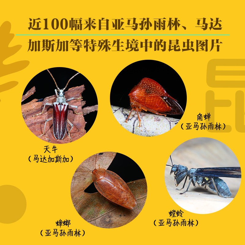 昆蟲歷史博物館+不可思議的昆蟲大書（全兩冊）