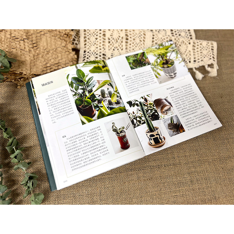 限時優惠：原價2288；植物風格1+2+3：綠植軟裝設計與養護+綠植達人的森林家居營造秘訣+植物裝飾手作指南