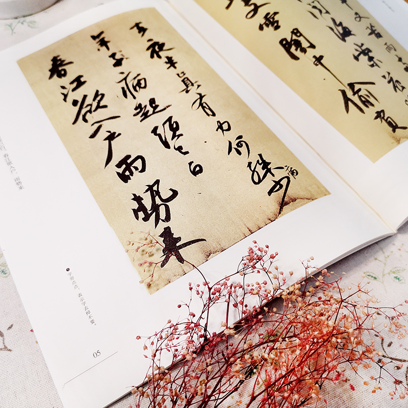 十大行書名帖放大臨摹本（全五冊）