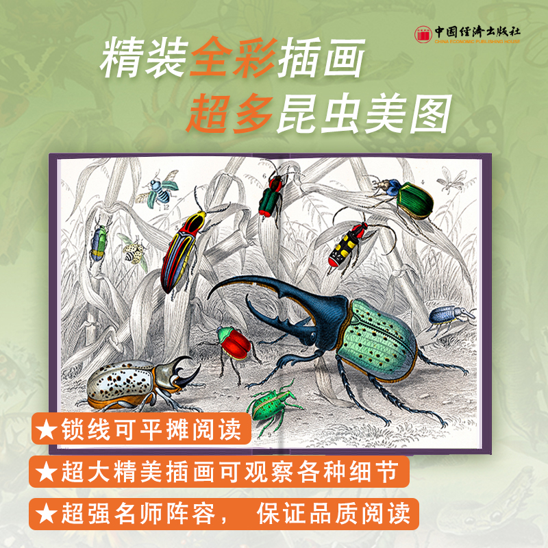 法布爾：昆蟲記（美繪精裝版）+植物記：手繪珍藏版（共四冊）