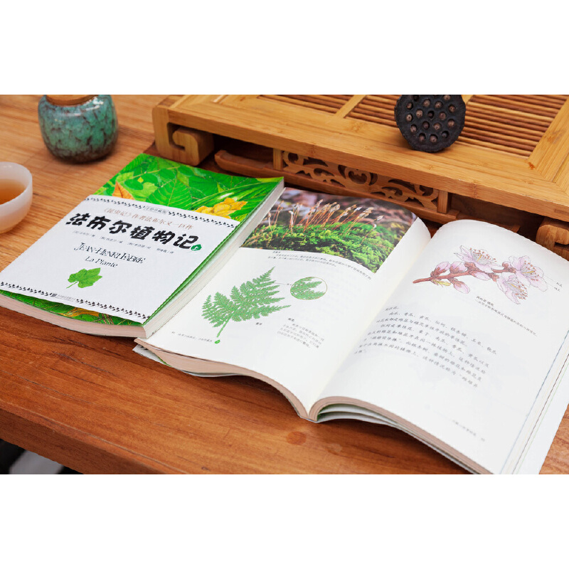 法布爾：昆蟲記（美繪精裝版）+植物記：手繪珍藏版（共四冊）