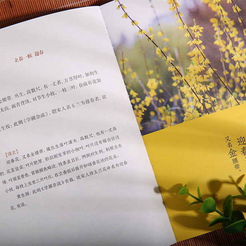 2024新書推薦：時節氣候抄（全4冊）一部關於二十四節氣文化的百科