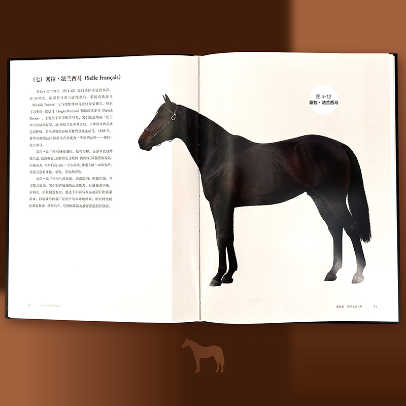 【世界主流馬種鑑賞】
