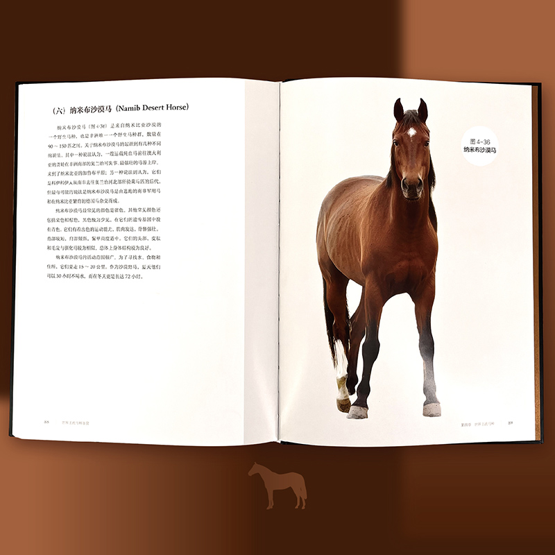 【世界主流馬種鑑賞】