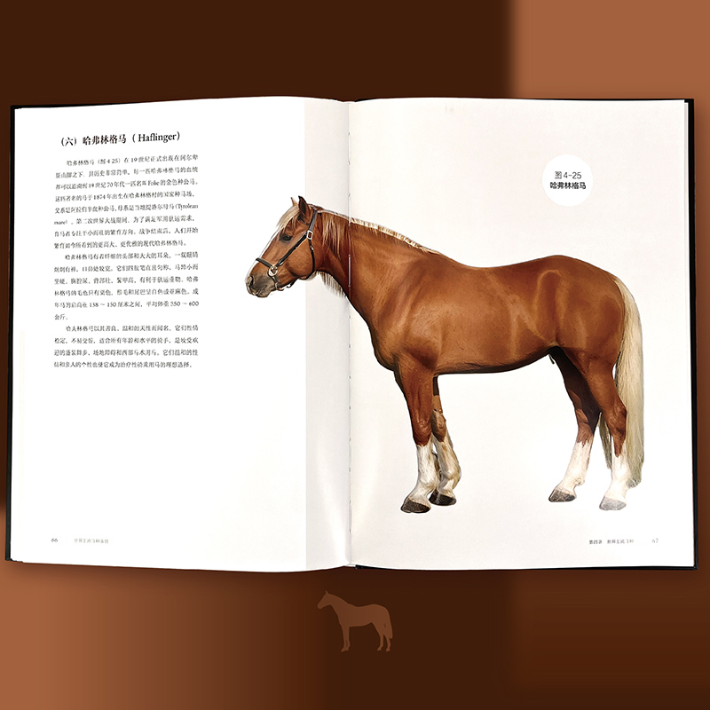 【世界主流馬種鑑賞】