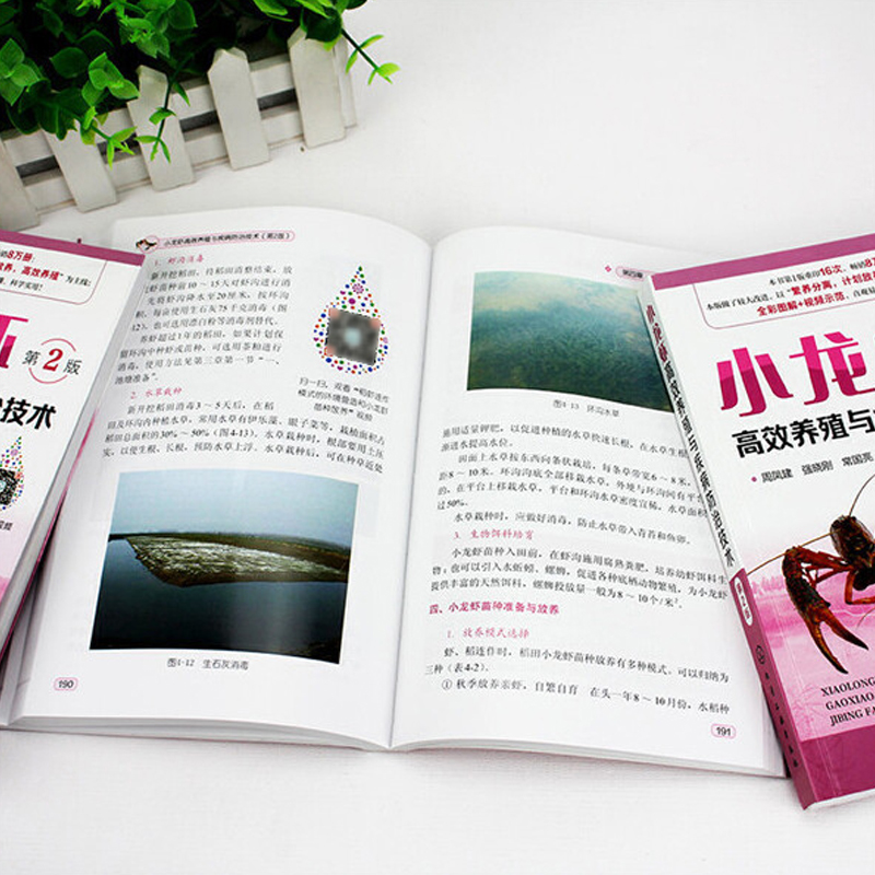 1721222587735800.jpg 主图7.jpg