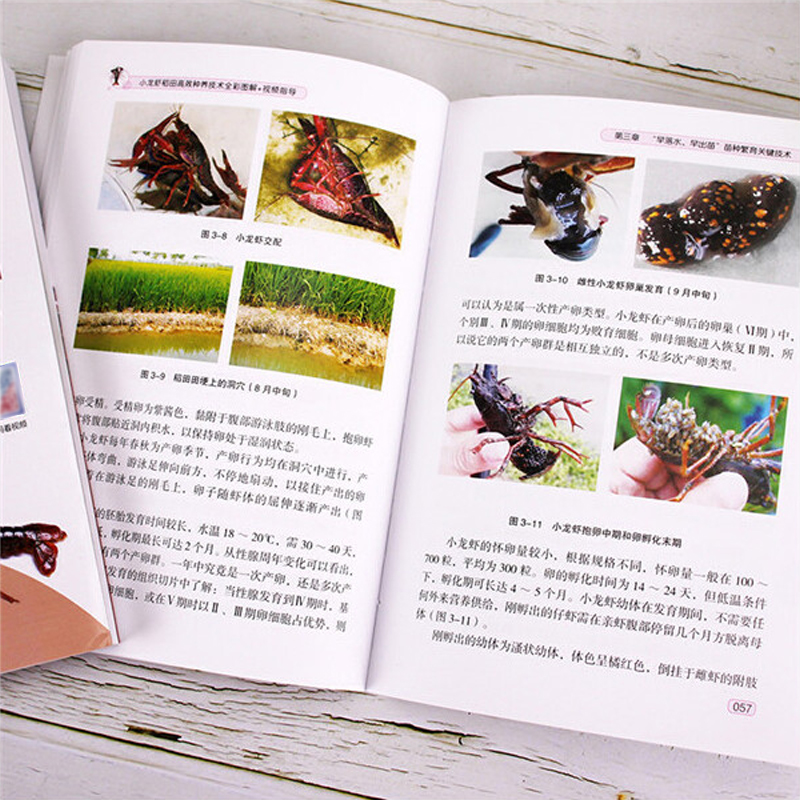 1721223310271949.jpg 主图14.jpg