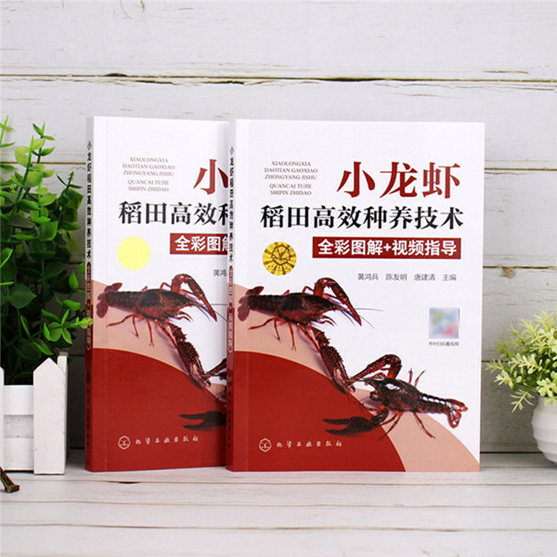 1721223346561417.jpg 主图13.jpg