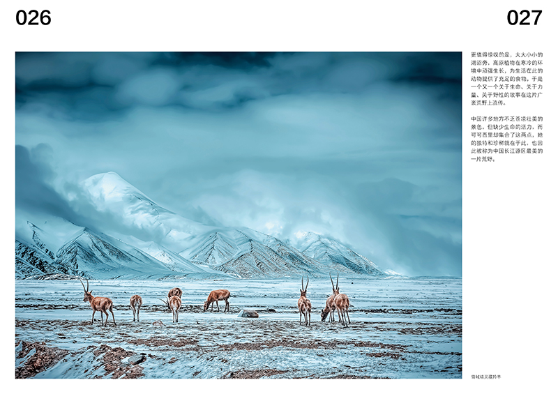 1721654588972124.jpg 书摘1.jpg