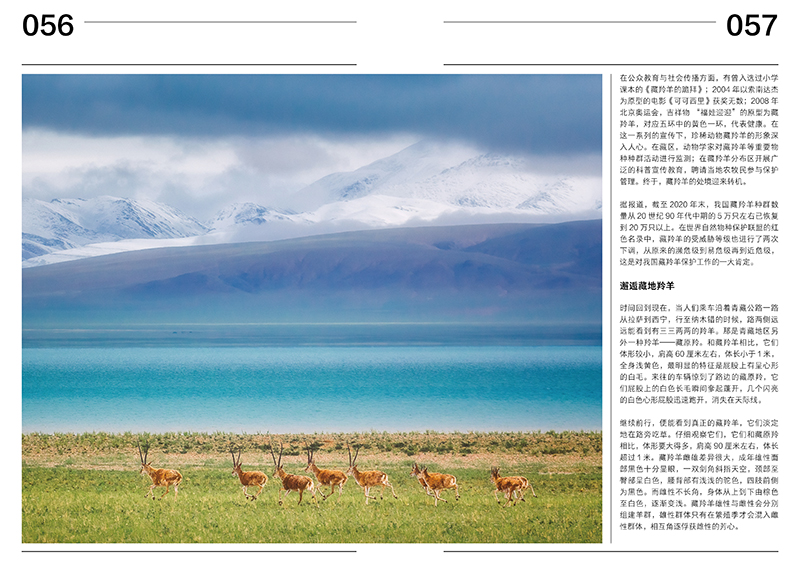 1721654593338684.jpg 书摘2.jpg