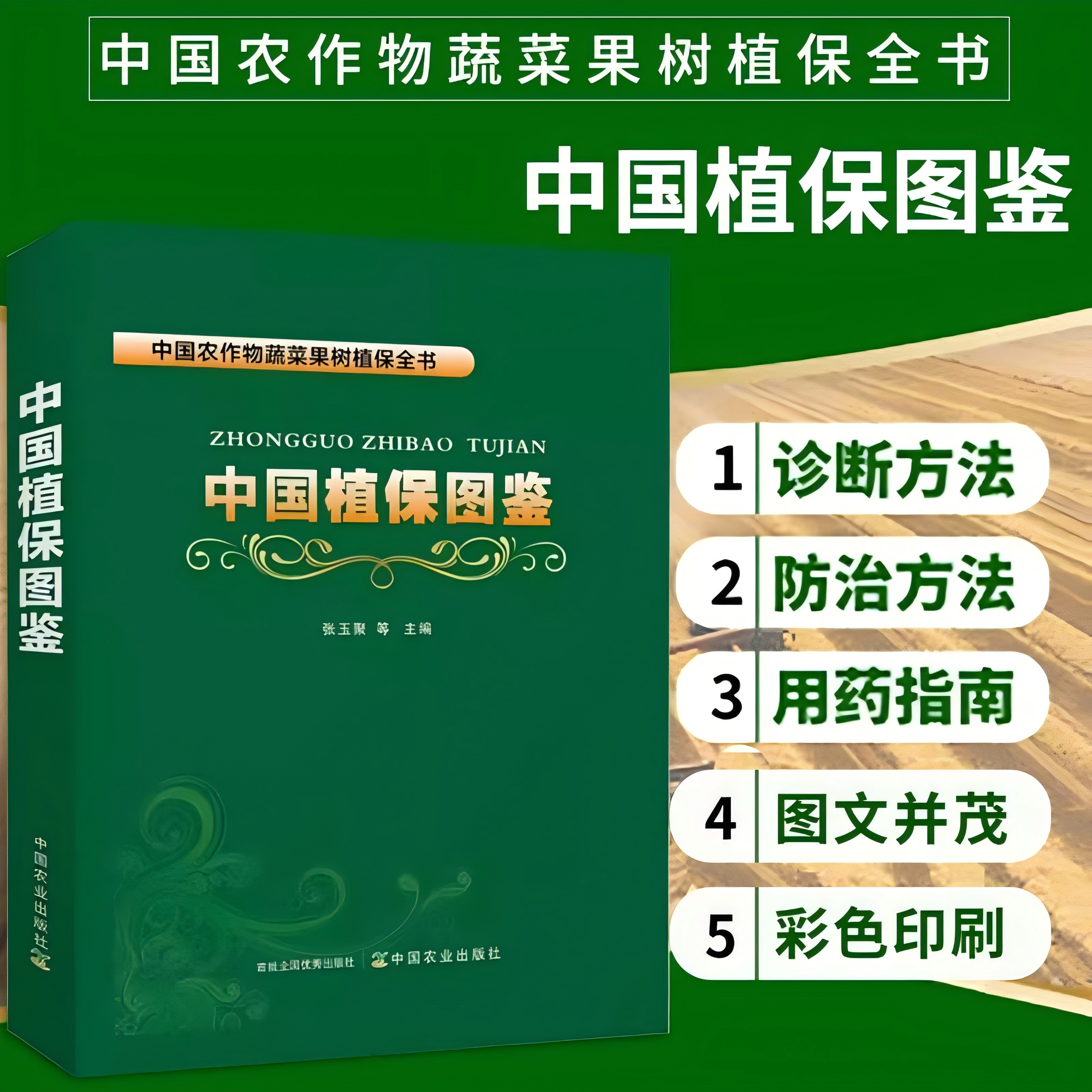 1727100013369304.jpg 主图.jpg