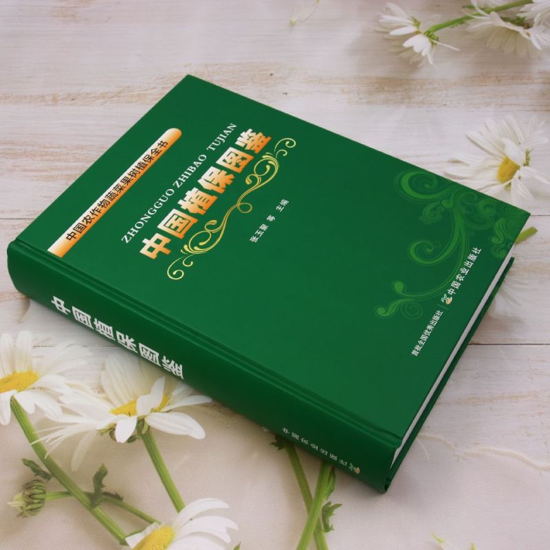 1727100027595677.jpg 主图2.jpg