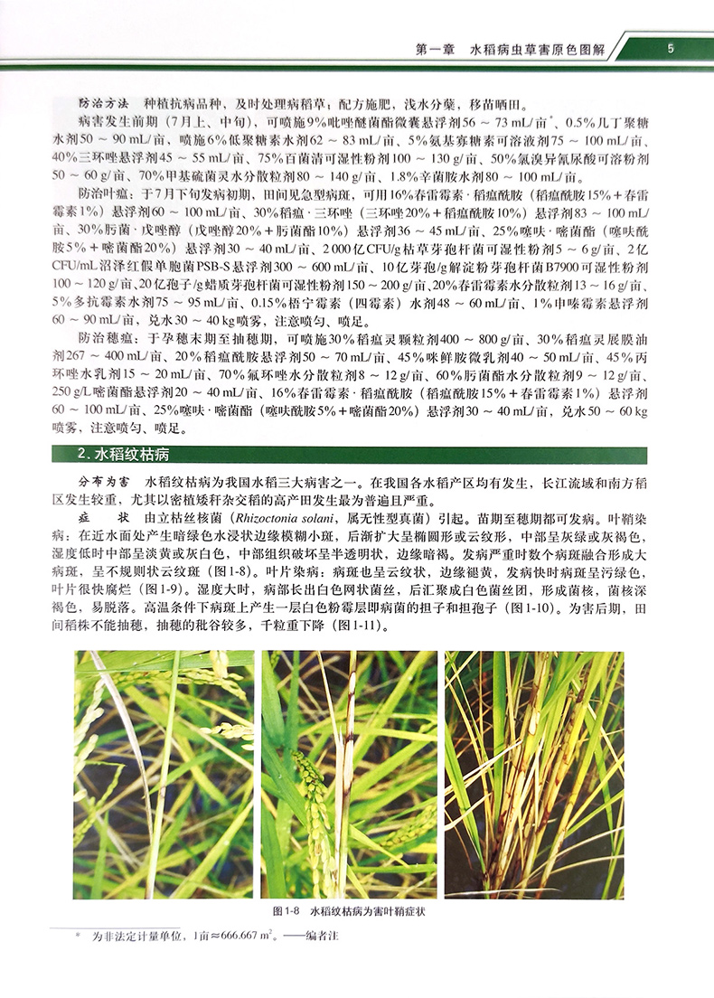 1727100061957478.jpg 详情3.jpg